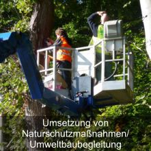 Umsetzung von Naturschutzmaßnahmen/ Umweltbaubegleitung