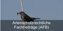 Artenschutzrechtliche Fachbeiträge (AFB)