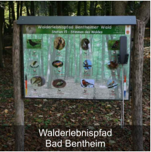 WalderlebnispfadBad Bentheim
